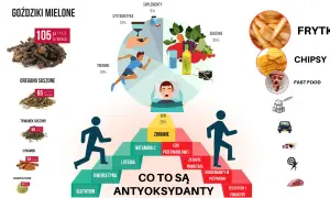 Antyoksydanty co to? Piramida zdrowia, sen, dieta, trening, zioła i przyprawy. Unikaj fast foodów, konserwantów, pestycydów.