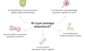 W czym pomaga witamina D? Wspiera odporność, prawidłowy poziom wapnia, mięśnie, kości, zęby i podział komórek.