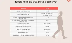 Tabela norm USG serca. Poznaj echo serca co to, jakie są normy dla dorosłych, np. rozmiar lewej komory, frakcja wyrzutowa.
