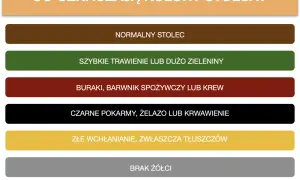 Grafika przedstawia paletę kolorów stolca z opisami: brązowy - normalny, zielony - szybkie trawienie, czerwony - buraki/krew, czarny - żelazo/krwawienie, żółty - złe wchłanianie, szary - brak żółci.