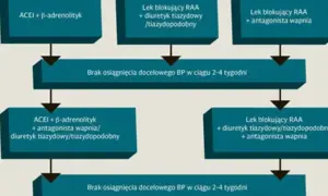 Schemat leczenia nadciśnienia. Gdy terapia nie działa, rozważ triplixam.