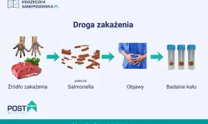 Droga zakażenia Salmonellą: od surowego mięsa i brudnych rąk, przez bakterie, do objawów bólu brzucha i badań kału.