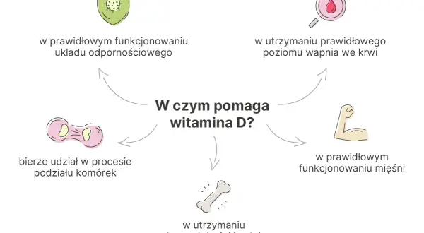 W czym pomaga witamina D? Wspiera odporność, prawidłowy poziom wapnia, mięśnie, kości, zęby i podział komórek.