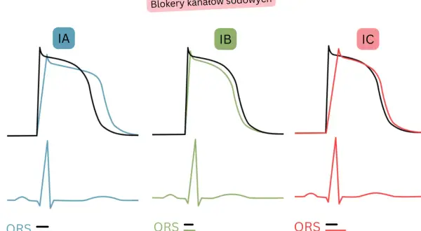 Wykresy potencjałów czynnościowych komór serca dla bloków klasy I (IA, IB, IC), porównujące działanie leków, np. amiodaronu, z kontrolą.