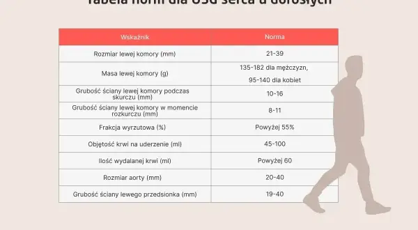 Tabela norm USG serca. Poznaj echo serca co to, jakie są normy dla dorosłych, np. rozmiar lewej komory, frakcja wyrzutowa.