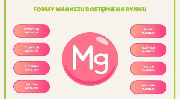Grafika przedstawia różne formy magnezu: cytrynian, taurynian, glicynian, mleczan, tlenek, siarczan, węglan i jabłczan.