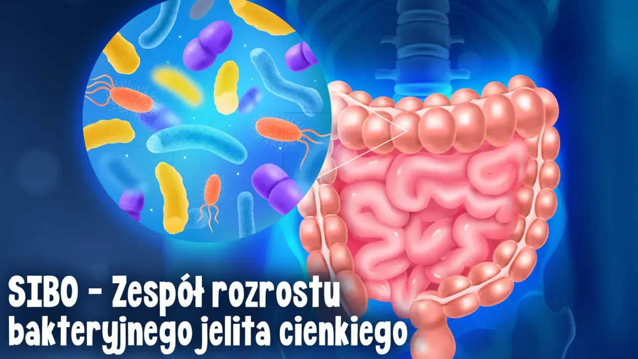 Grafika przedstawia jelita i bakterie, ilustrując problem SIBO. Objawy mogą być uciążliwe.