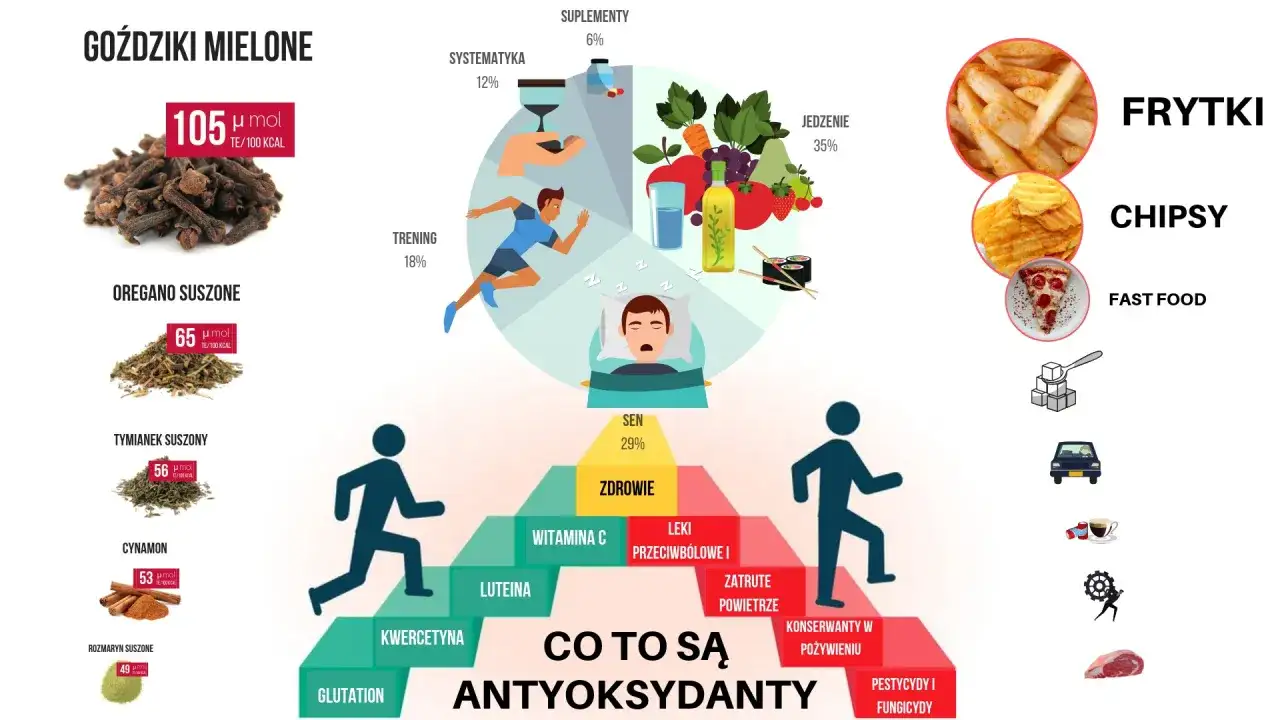 Antyoksydanty co to? Piramida zdrowia, sen, dieta, trening, zioła i przyprawy. Unikaj fast foodów, konserwantów, pestycydów.