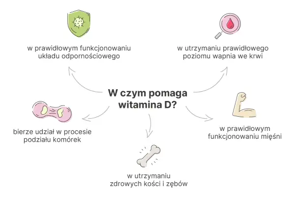 W czym pomaga witamina D? Wspiera odporność, prawidłowy poziom wapnia, mięśnie, kości, zęby i podział komórek.