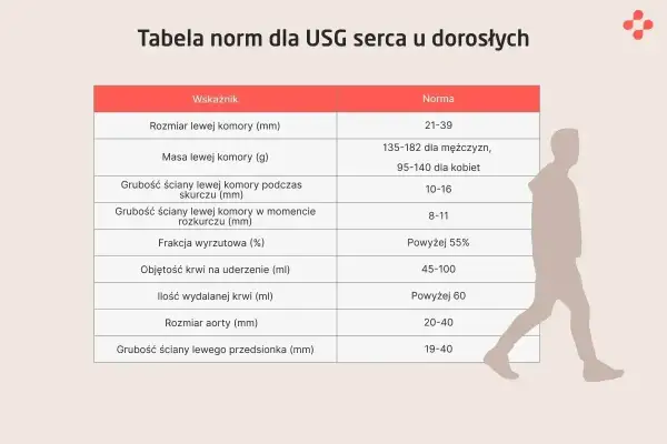 Tabela norm USG serca. Poznaj echo serca co to, jakie są normy dla dorosłych, np. rozmiar lewej komory, frakcja wyrzutowa.