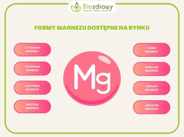 Grafika przedstawia różne formy magnezu: cytrynian, taurynian, glicynian, mleczan, tlenek, siarczan, węglan i jabłczan.
