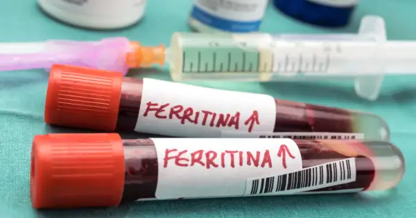 Dwie probówki z krwią oznaczone "Ferritina ↑" i strzykawka. Wyniki badań sugerują potrzebę podniesienia ferrytyny.
